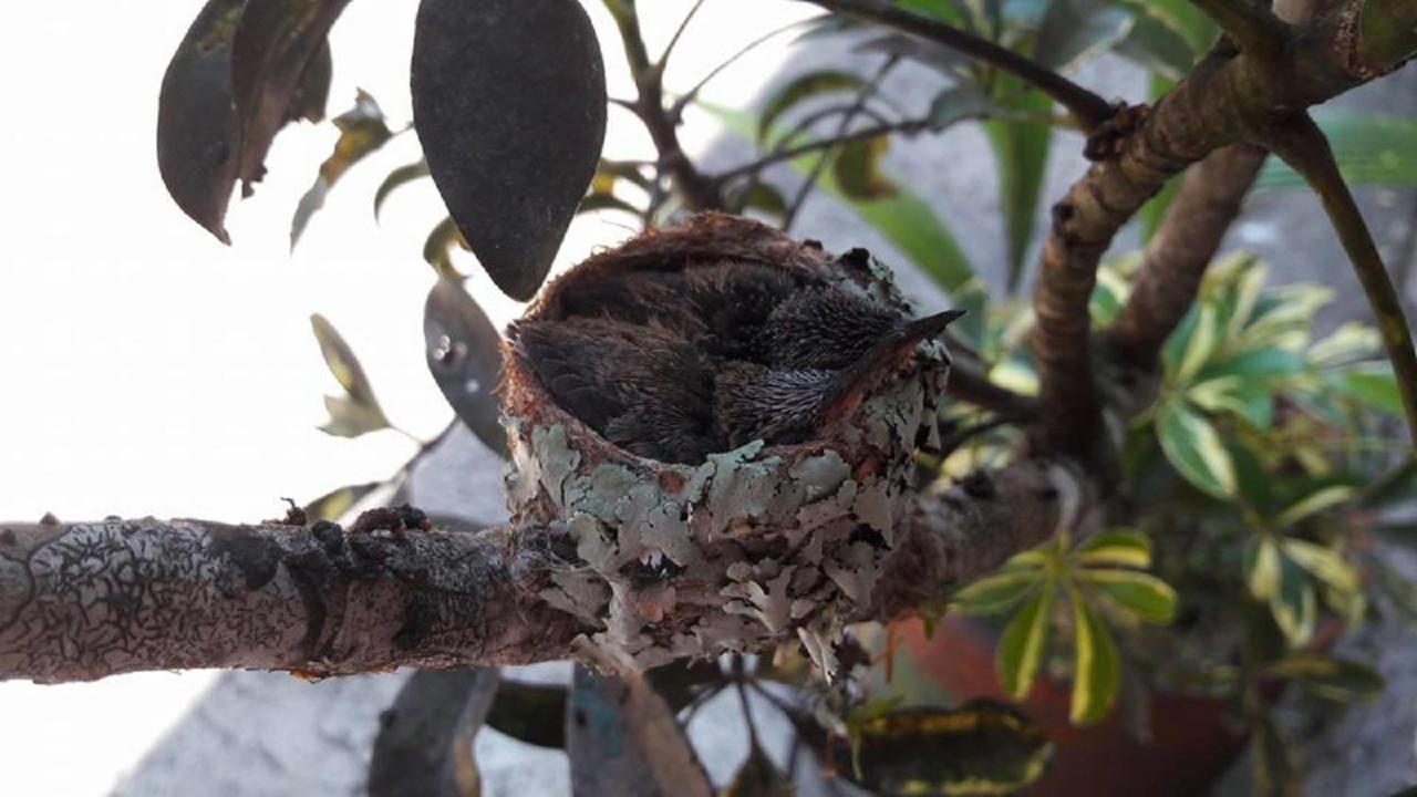 Meson Yohualichan Cuetzalán del Progreso Buitenkant foto